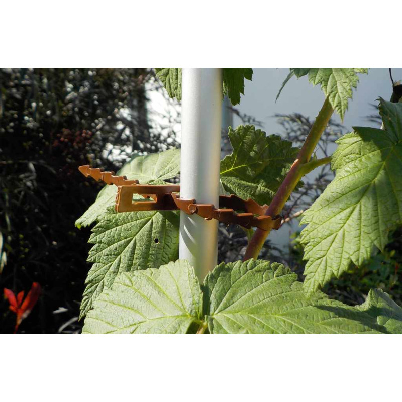 PLASTOBAND 180 "BIO" Kleinpackung