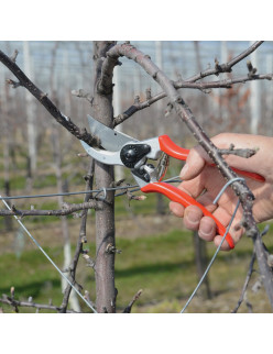 Felco 2 Profi Gartenschere