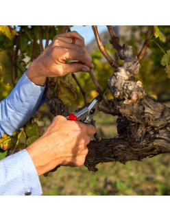 Felco 6 Profi Rosenschere