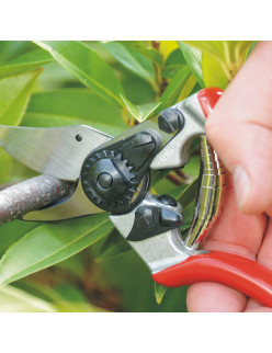 Felco 6 Profi Rosenschere