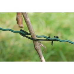 REBSTAR   "big" - 500 Stück