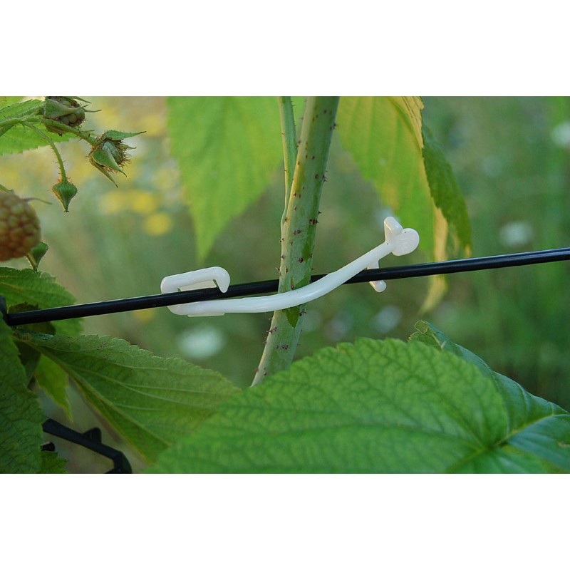 REBSTAR "BIO" 1000 Stück