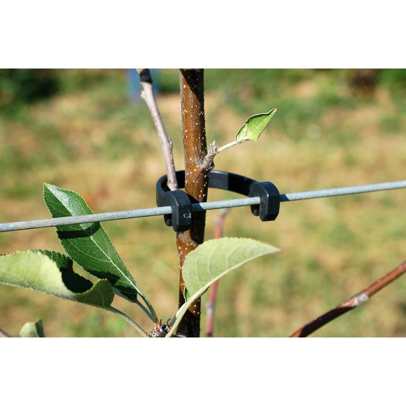 STAMMHALTER 125 Gr. 5