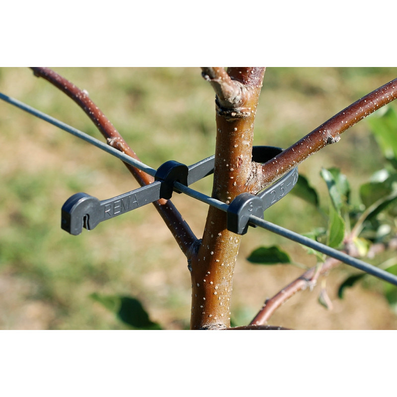 DOPPEL - STAMMHALTER 125 - 175 Gr. 4